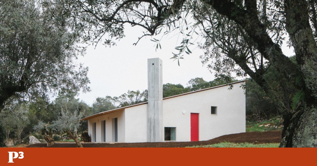 Em Ansião, uma casinha que nasceu da paisagem foi devolvida ao seu lugar | Fotogaleria