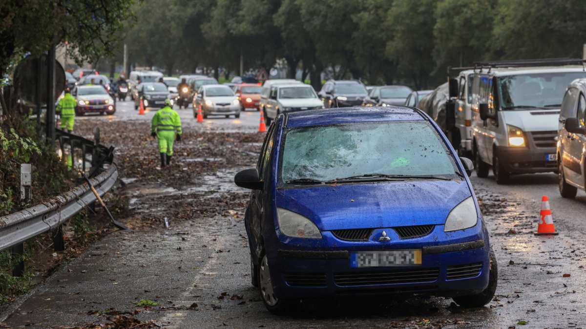 Jornal de Notícias Logo