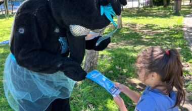 Mobilização do Dia D de combate à dengue recolhe meia tonelada de entulho em cemitérios de Blumenau