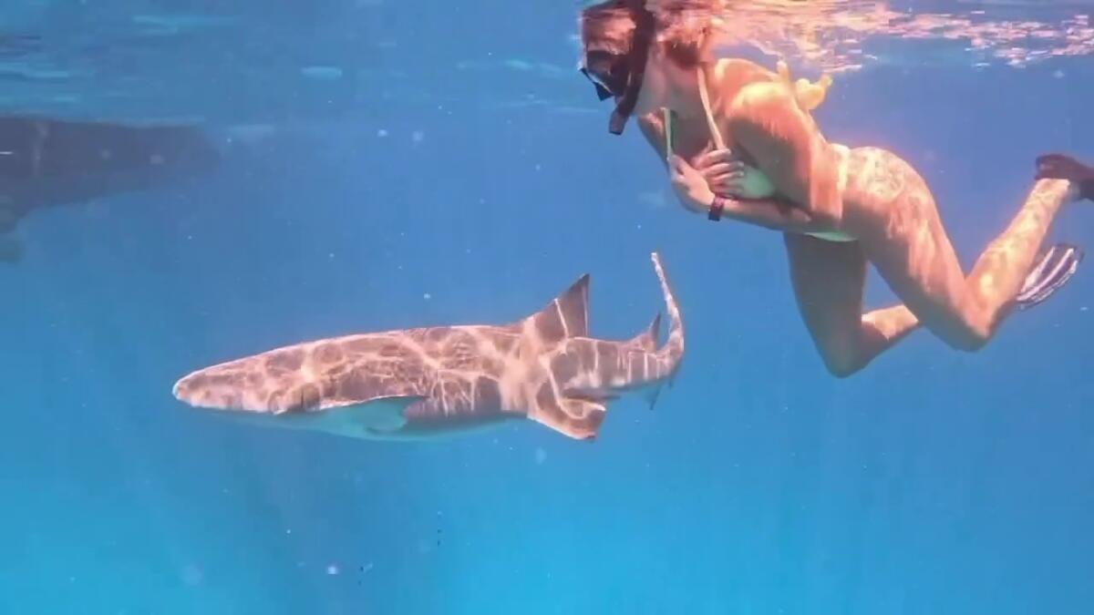 Notícias Ilimitadas