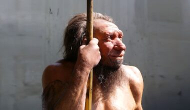 Os neandertais podem nunca ter sido totalmente extintos