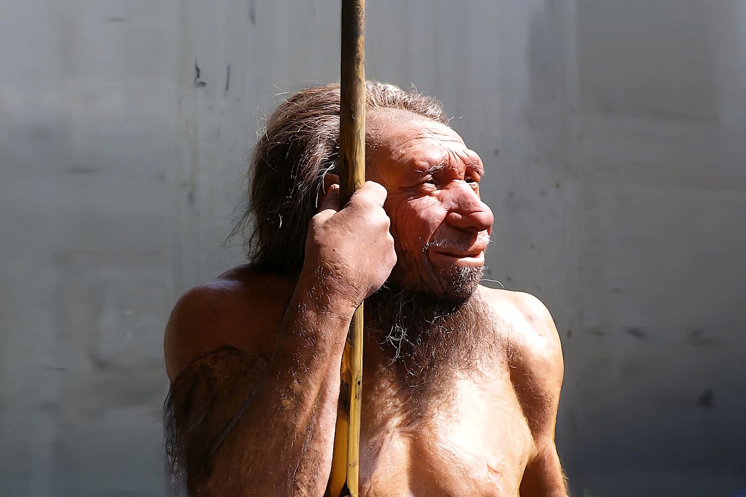 Os neandertais podem nunca ter sido totalmente extintos