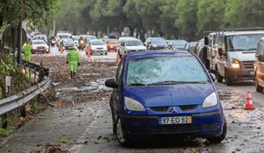 Jornal de Notícias Logo