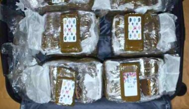 Jornal de Notícias Logo