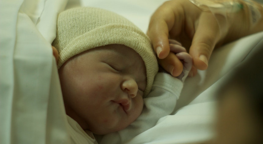 Concentração da neonatologia do D. Estefânia e Alfredo da Costa é o melhor caminho, diz coordenador do S. José