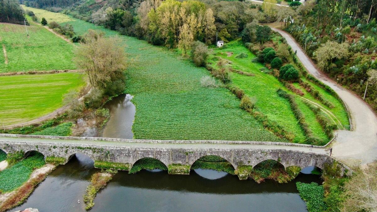 Jornal de Notícias Logo