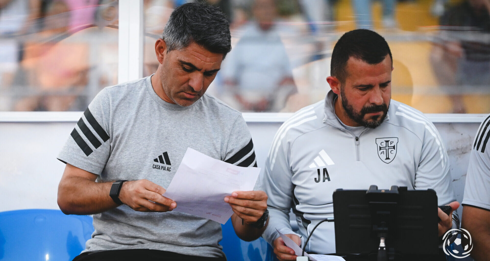 Casa Pia planeia ir ao Sporting fechar o seu novo treinador: eis o ponto de situação - Bola na Rede