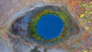 Lago cercado por vegetação foi um das imagens vencedores do concurso de fotos de natureza
