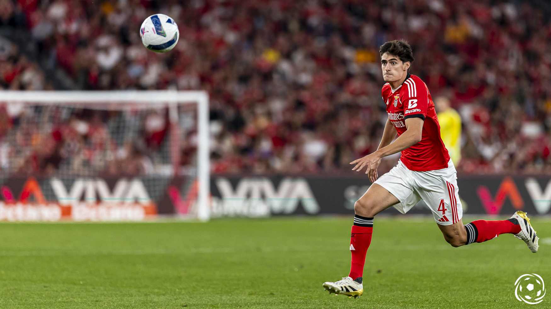 Direção Técnica de Arbitragem valida decisão do VAR relativa ao Benfica x Casa Pia