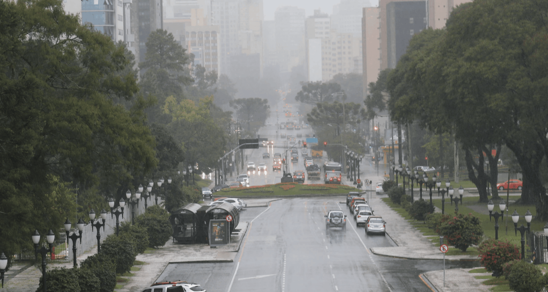 Ventania em Curitiba derruba 57 árvores e galhos nesta terça (18) – CBN Curitiba – A Rádio Que Toca Notícia