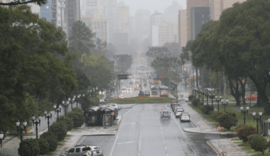 Ventania em Curitiba derruba 57 árvores e galhos nesta terça (18) – CBN Curitiba – A Rádio Que Toca Notícia