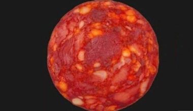 Como uma fatia de salame virou estrela — e enganou internautas em 2022