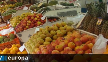 Importância da abóbora, uvas, cogumelos, nozes, legumes e chocolate na alimentação no outono