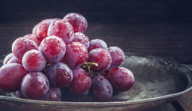 Uva: descubra benefícios e como incluir a fruta na alimentação