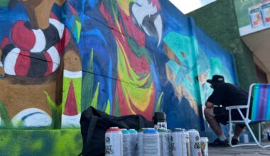 Muro do Aeroporto Hugo Cantergiani, em Caxias do Sul, ganha revitalização com graffiti de mais de 75 artistas - Leouve