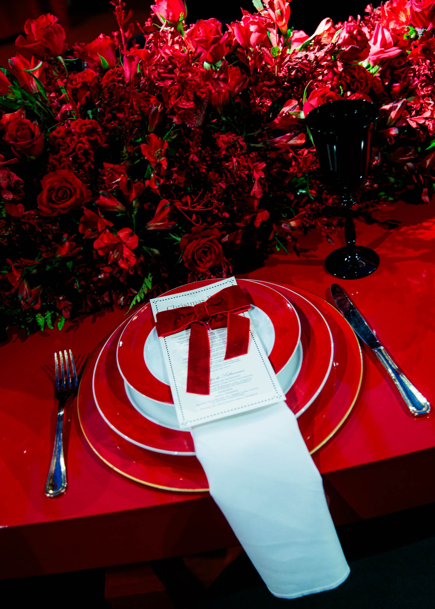 Festa de Natal de Andrea Guimarães - Foto: Clayton Felizardo / Brazilnews