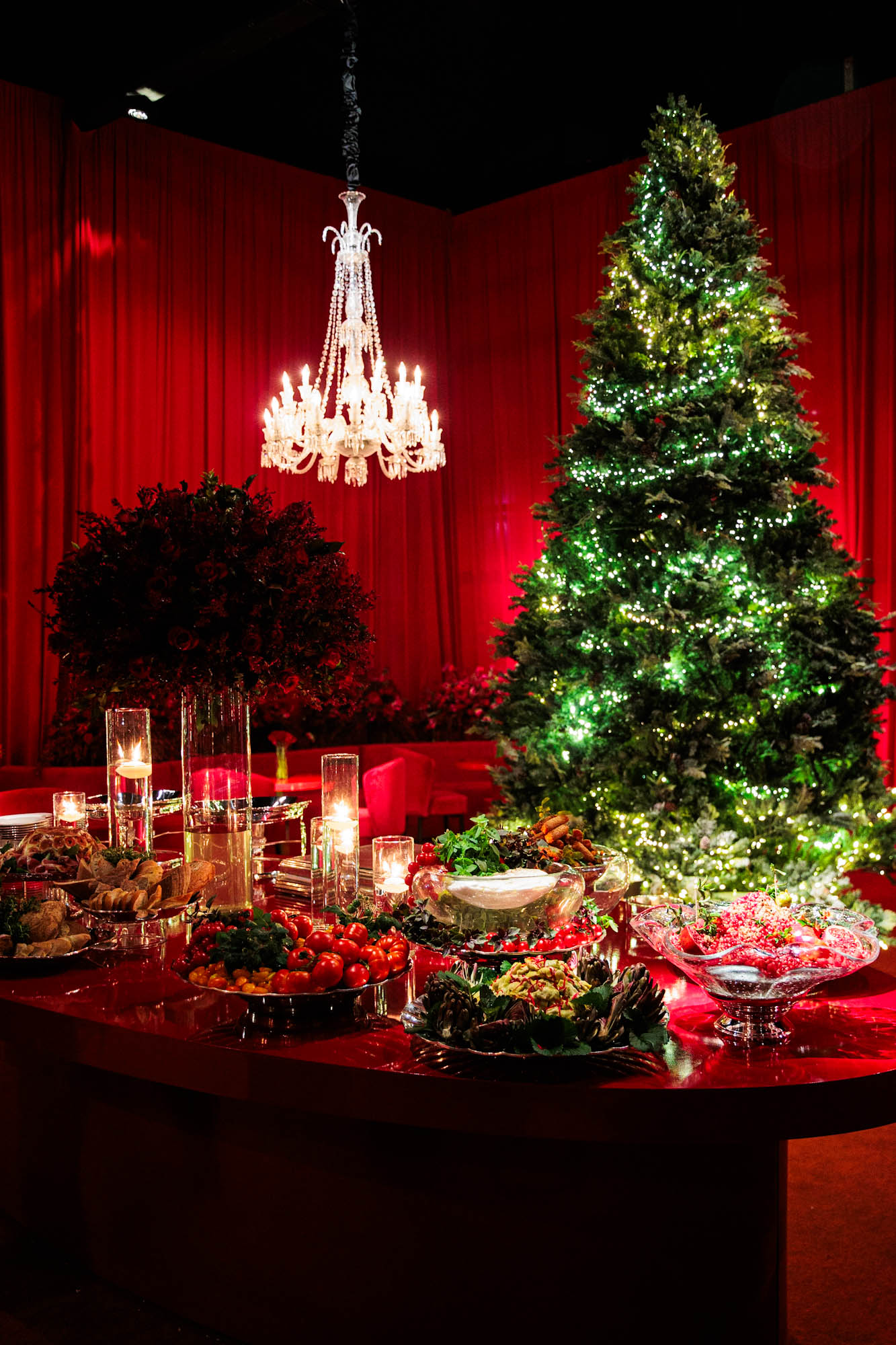 Festa de Natal de Andrea Guimarães - Foto: Clayton Felizardo / Brazilnews