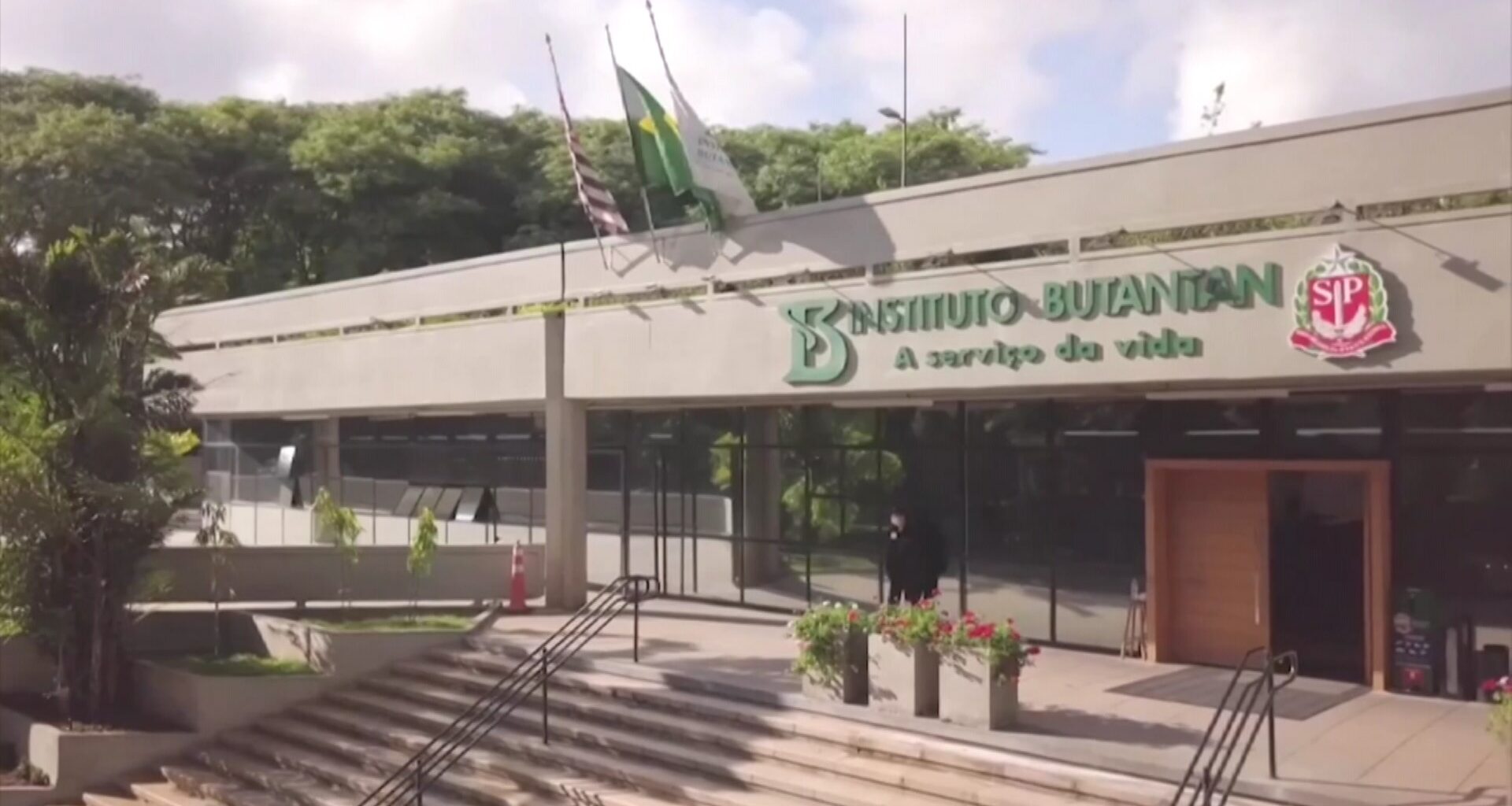 Instituto Butantan desenvolver terapia para febre amarela