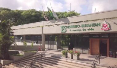 Instituto Butantan desenvolver terapia para febre amarela