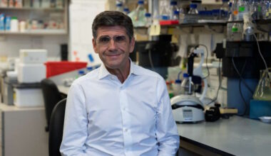 Investigação portuguesa distinguida com 1,75 milhões para estudar impulsividade, cancro e envelhecimento