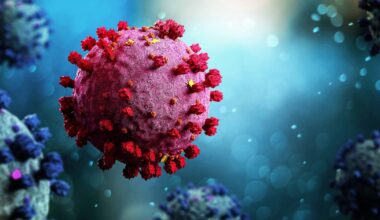 Cientistas descobrem novo coronavírus em morcegos brasileiros com traço similar ao vírus da covid