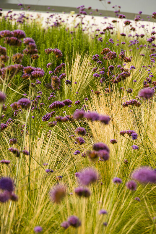 Oriente Green Campus  / LJ-Group Landscape Architecture + Saraiva + Associados + Kohn Pedersen Fox (KPF)  - Imagem 15 de 24