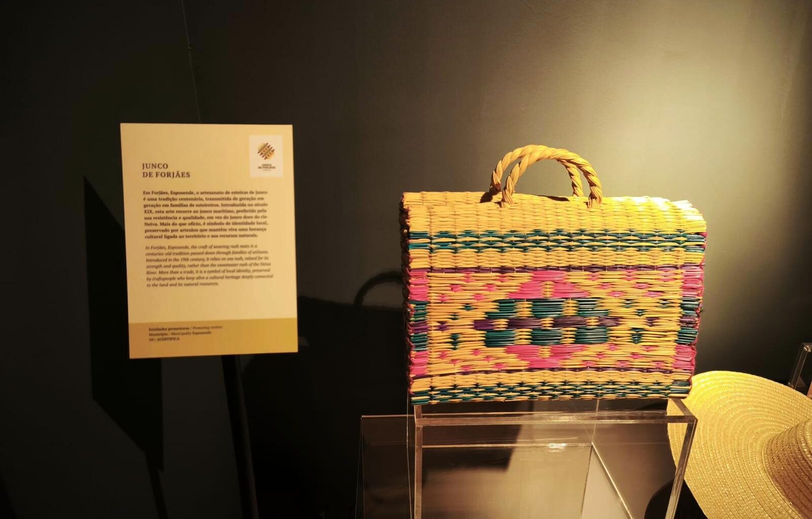 Junco de Forjães integra nova Galeria de Artes Certificadas no Porto