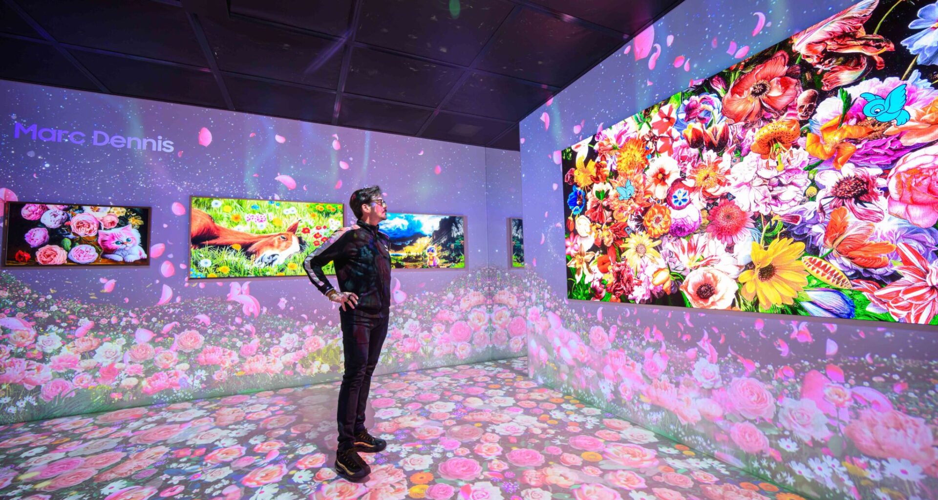 Por dentro do pixel – A ciência que o “Fake QLED” não tem