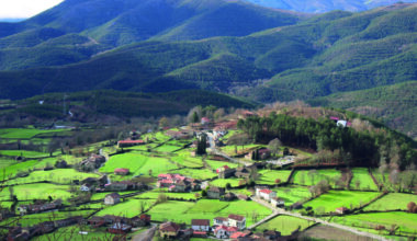 Savannah diz que projeto de Boticas já é dos "maiores do mundo"