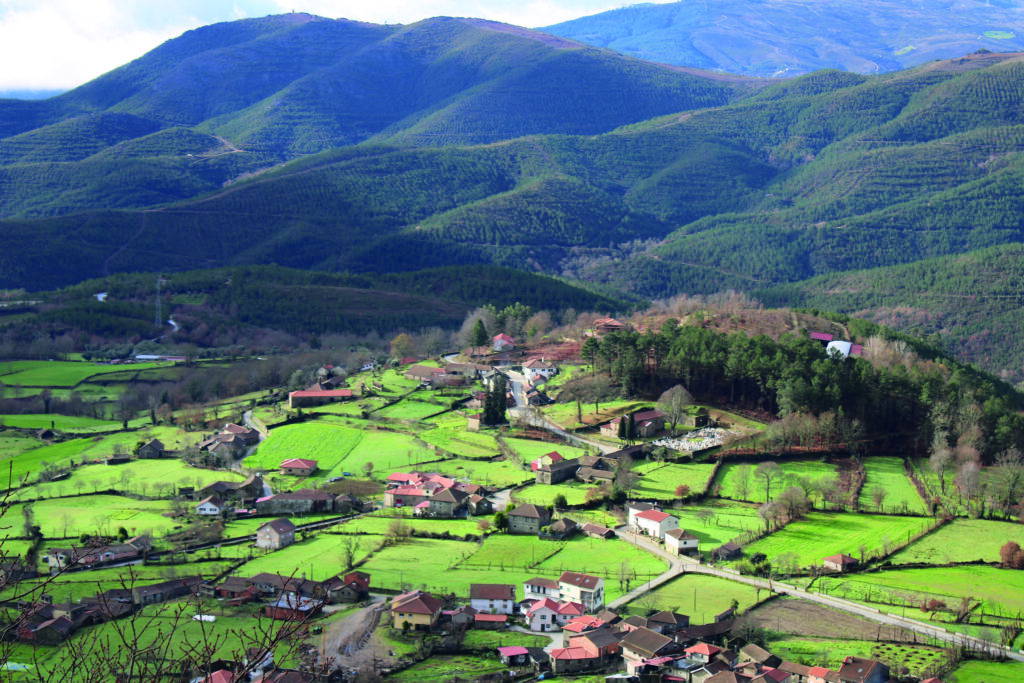 Savannah diz que projeto de Boticas já é dos "maiores do mundo"