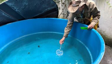 Prefeitura de Manaus vai vistoriar 25.954 imóveis para identificar nível de infestação do Aedes aegypti