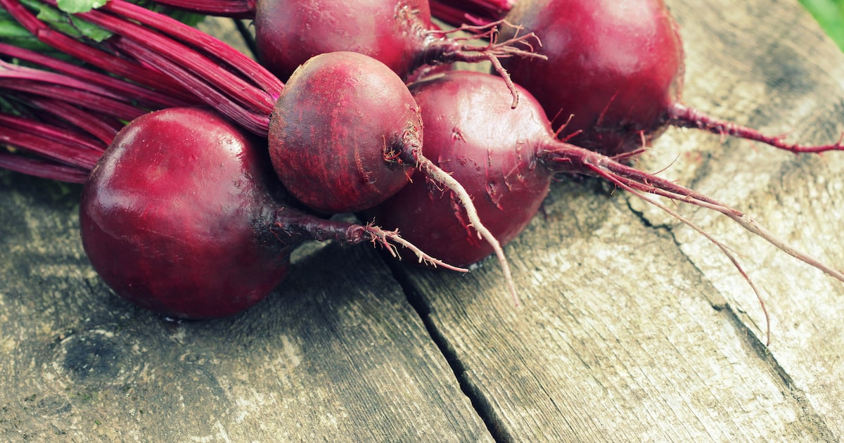 Beterraba pode ajudar a fortalecer o sistema imunológico? Descubra como incluir na alimentação