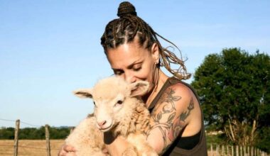 documentário sobre artesãs gaúchas da lã começa gravações