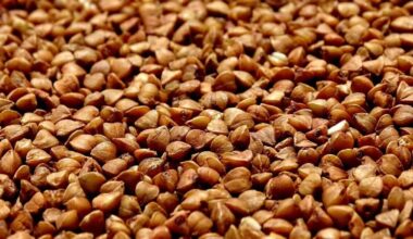 Trigo Sarraceno Tártaro do Himalaia