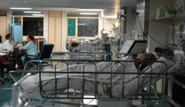 Doença renal crônica já é a 9ª principal causa de morte no mundo, alerta novo estudo