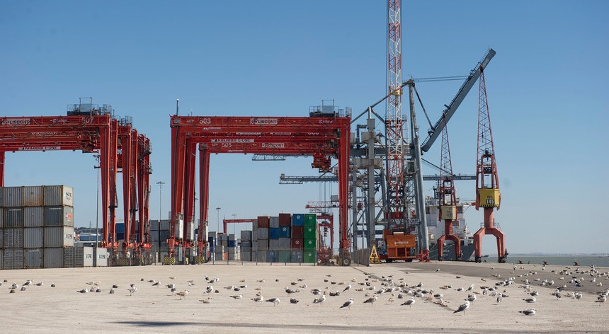 "Consequências devastadoras". Portuários pedem ação de Montenegro em conflito laboral