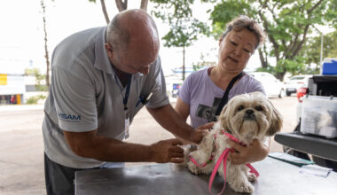 Ação contra a raiva: VISAM inicia nesta terça (25) vacinação casa a casa na Vila Arens