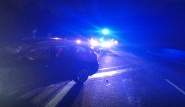 Galiza: Javali provoca acidente. Oito carros e quatro feridos