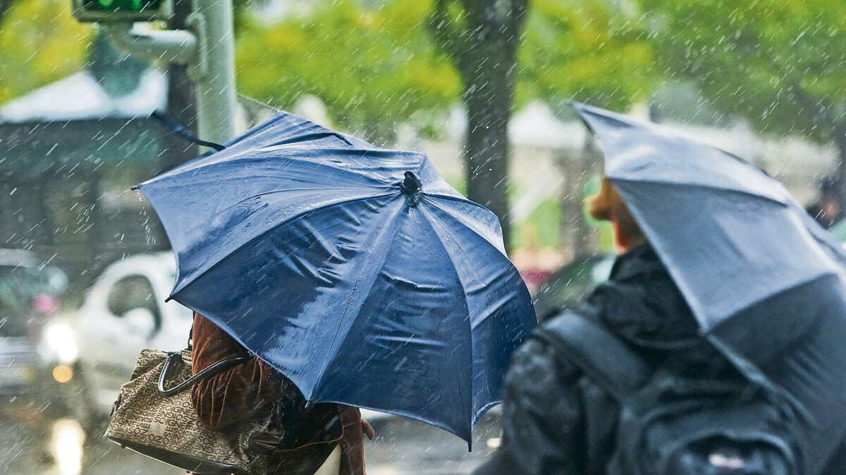 Jornal de Notícias Logo