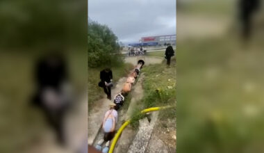 Jornal de Notícias Logo