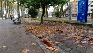 Jornal de Notícias Logo