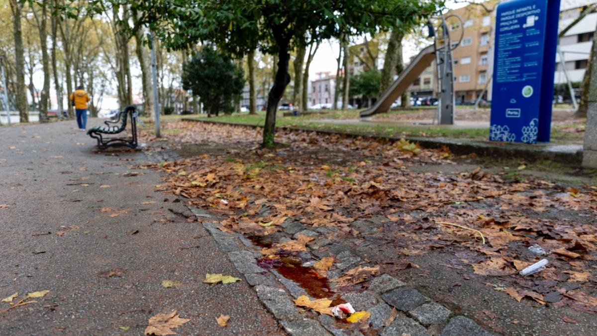 Jornal de Notícias Logo