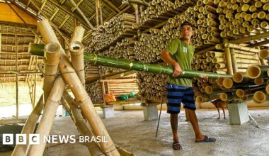 Arquitetura: as construções de bambu que resistem a terremotos