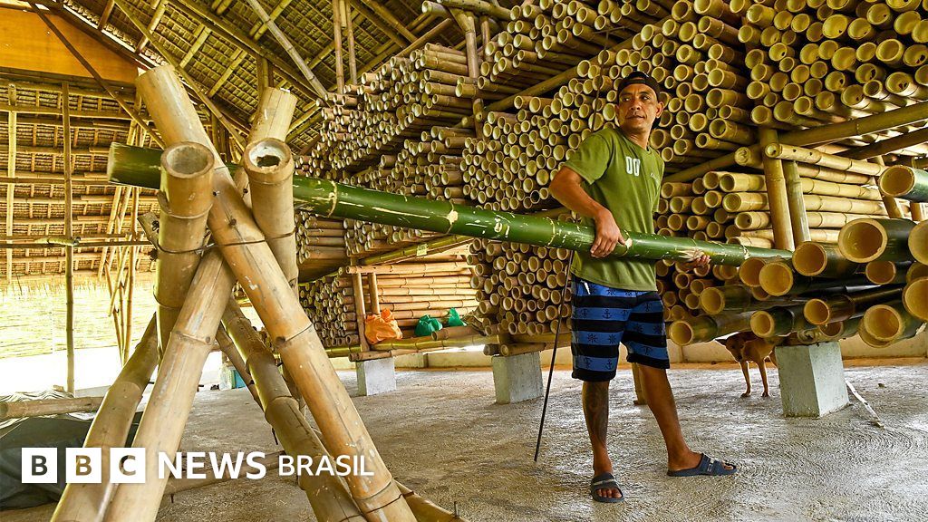 Arquitetura: as construções de bambu que resistem a terremotos