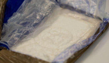 Jornal de Notícias Logo