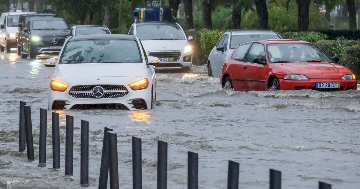 Inundações e não só: os estragos provocados pelo mau tempo (fotos)