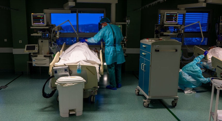 Integração de cuidados no SNS melhorou mas há "longo caminho" a percorrer