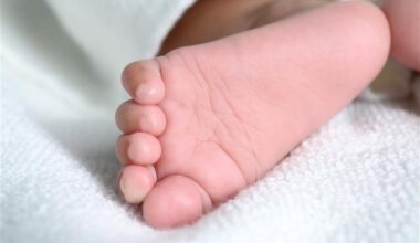 Bebé nasce dentro de carro na A22 em plena tempestade: parto foi ajudado por bombeiro motard fora de serviço