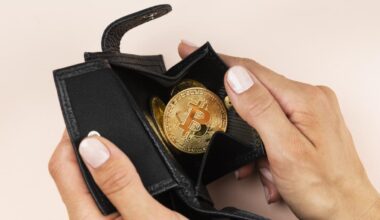 Bitcoin dentro de uma carteira