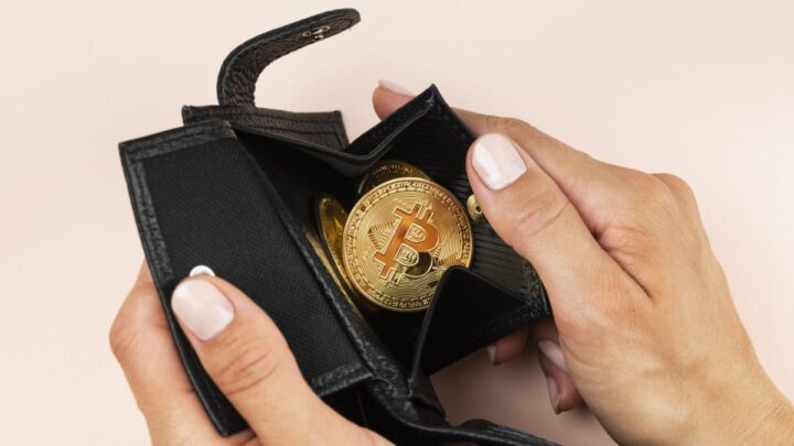 Bitcoin dentro de uma carteira